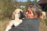 ADULTE ET CHIEN 493